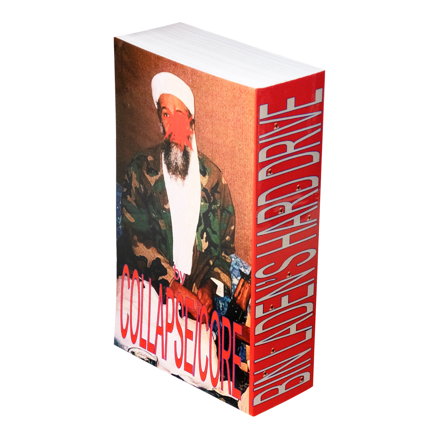 BIN LADEN'S HARD DRIVE